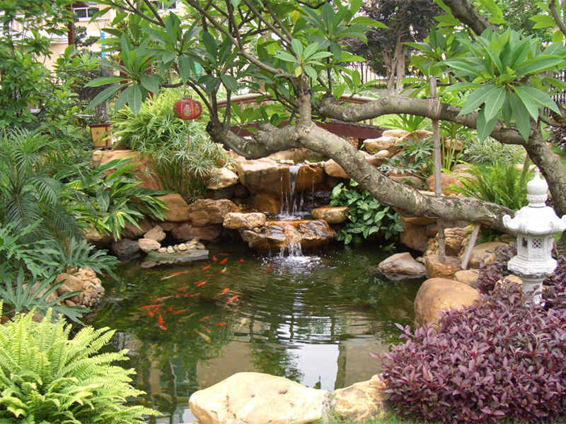 魚(yú)池與景觀(guān)處理